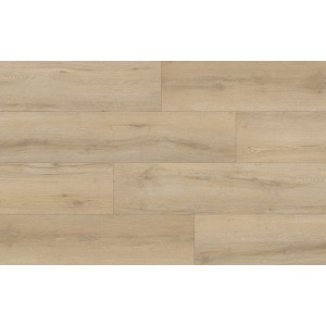 AMARON CLICK CA 145 DUB WELLINGTON